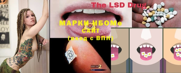 ECSTASY Заволжье