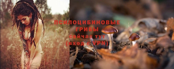 ECSTASY Заволжье
