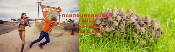 mdpv Заволжск