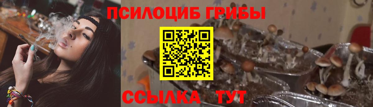 Галлюциногенные грибы ЛСД Кизляр
